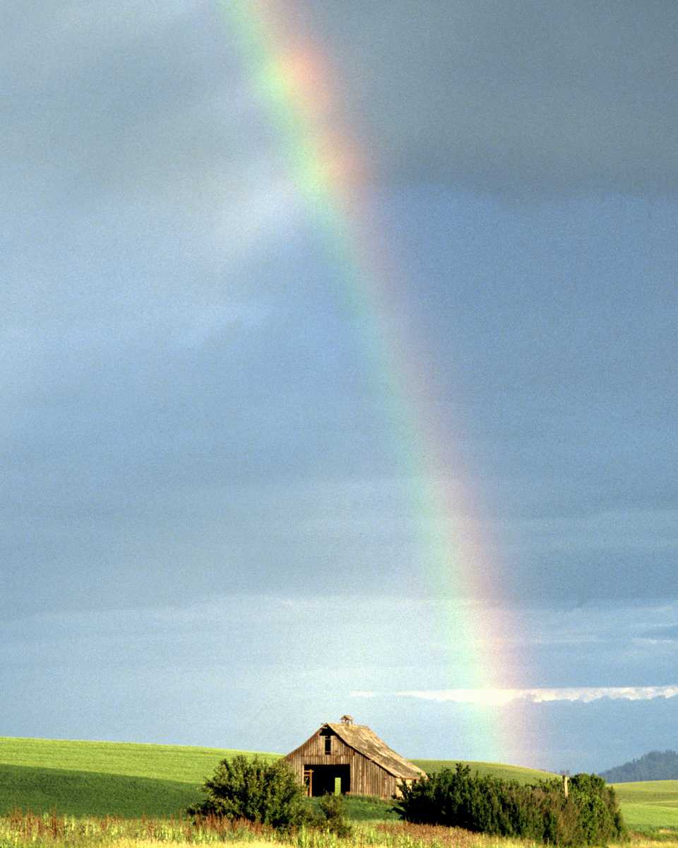Regenbogen